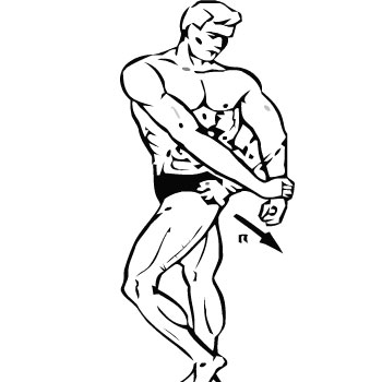 Упражнения для мышц рук - бицепс